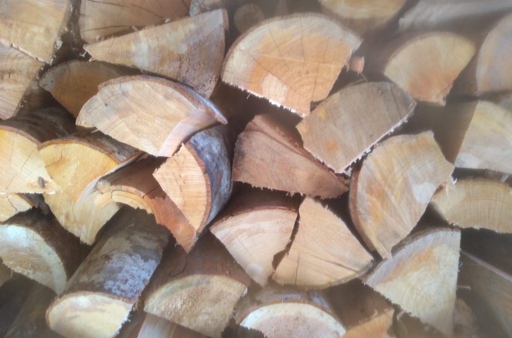 The Wood pile